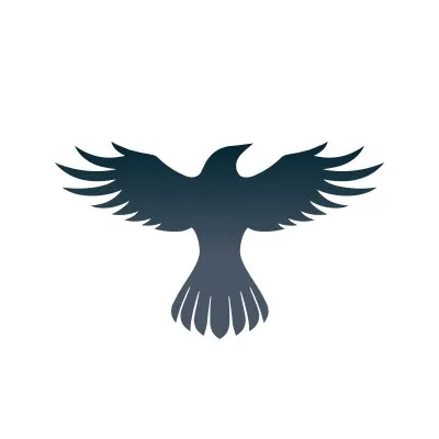 Raven Protocol